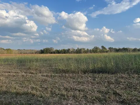 New Ulm Acreage Available