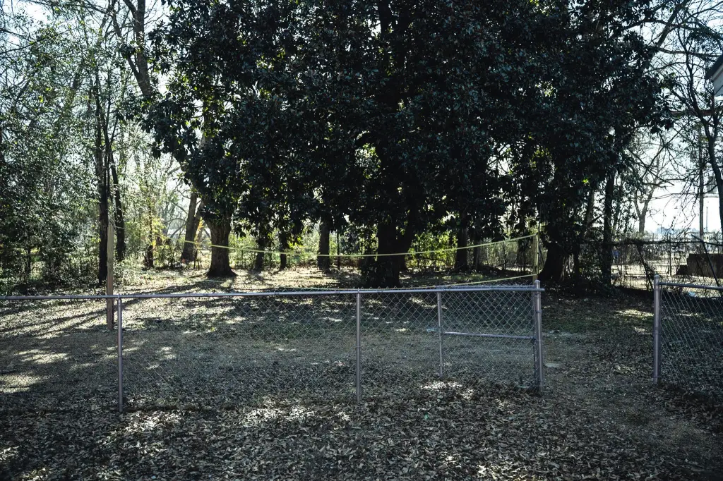 Picture 19
