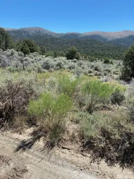 El Dorado Canyon Land