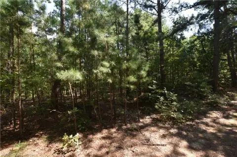 Residential Lot in Gated Community