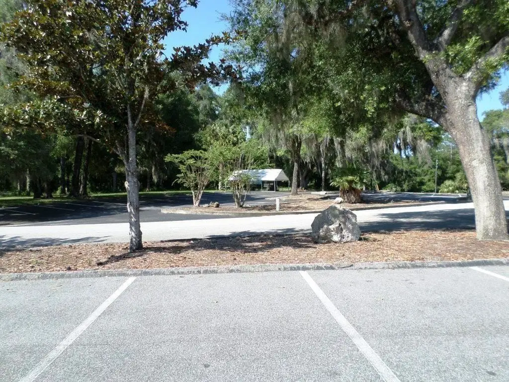 Picture 27