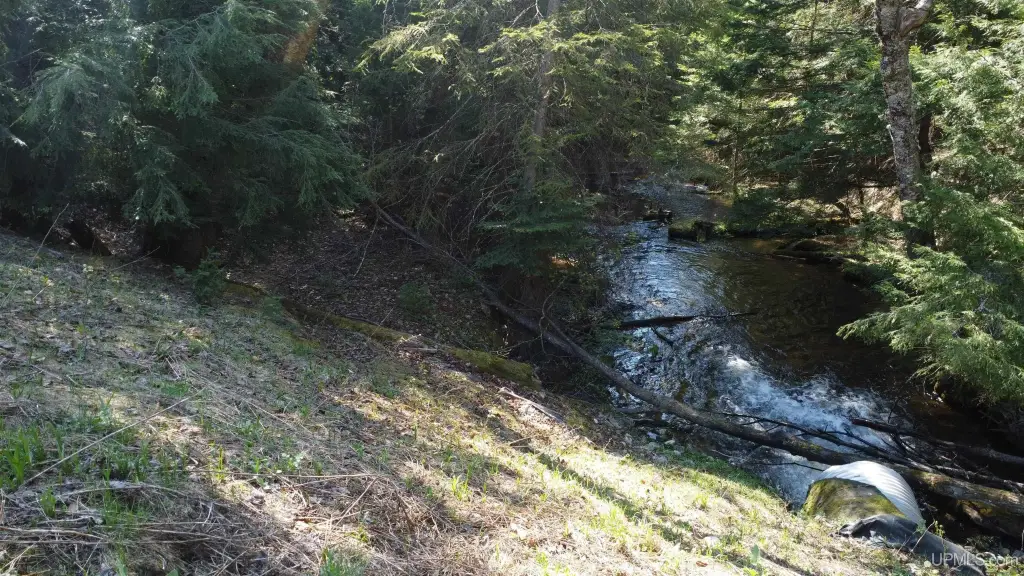 Picture 41