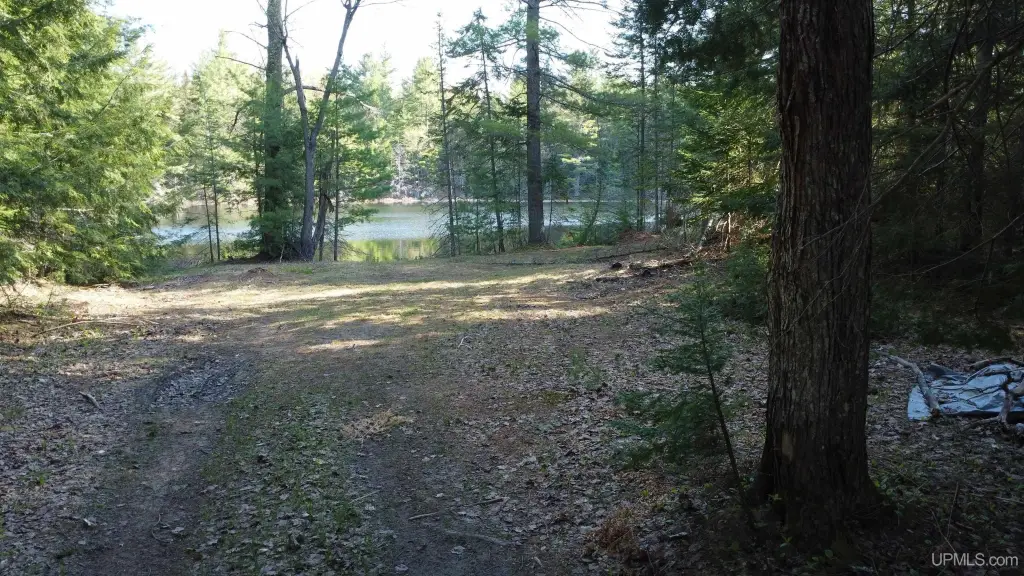 Picture 23