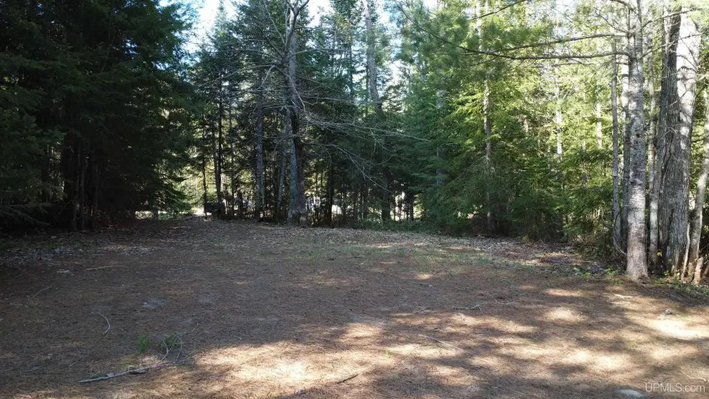 Picture 35