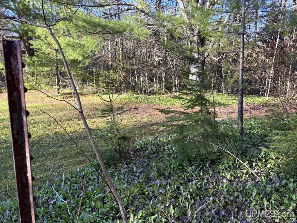 Picture 13