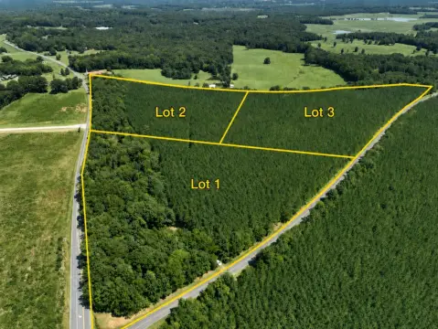 Timber Hunting Land