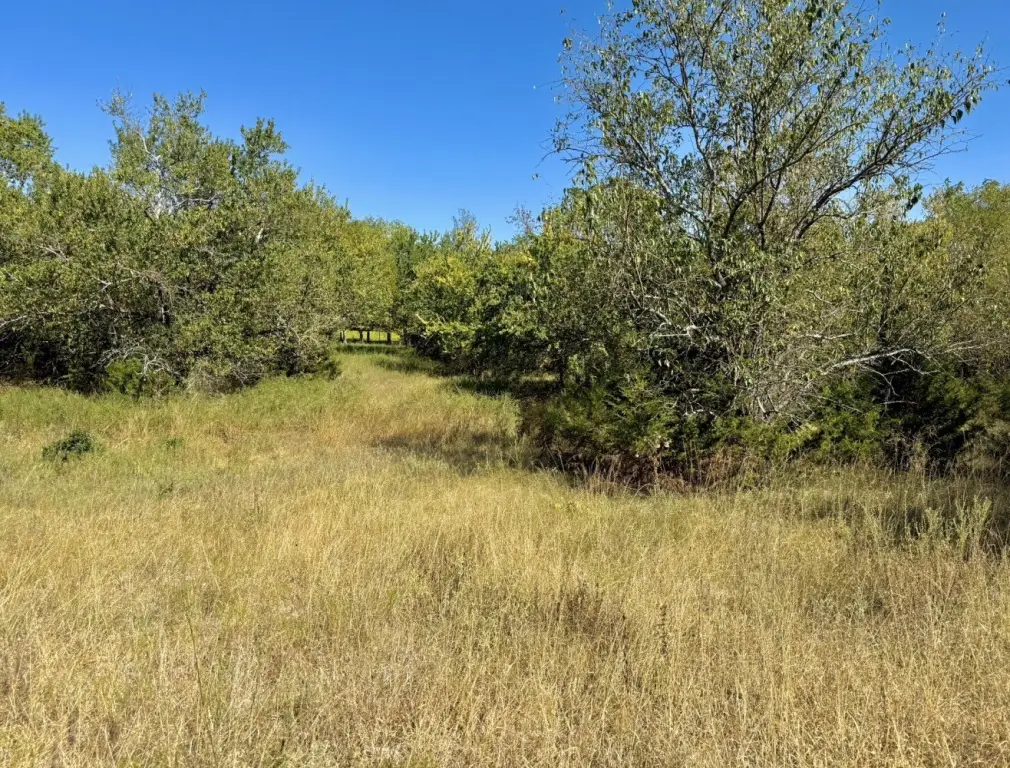Picture 38