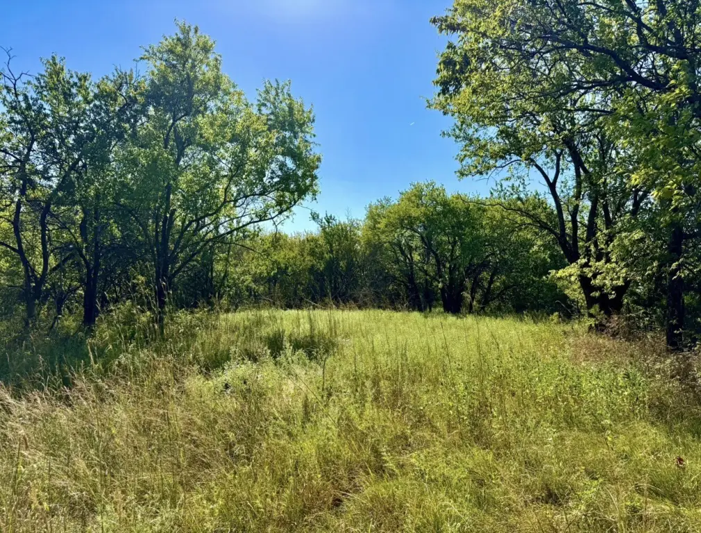 Picture 43