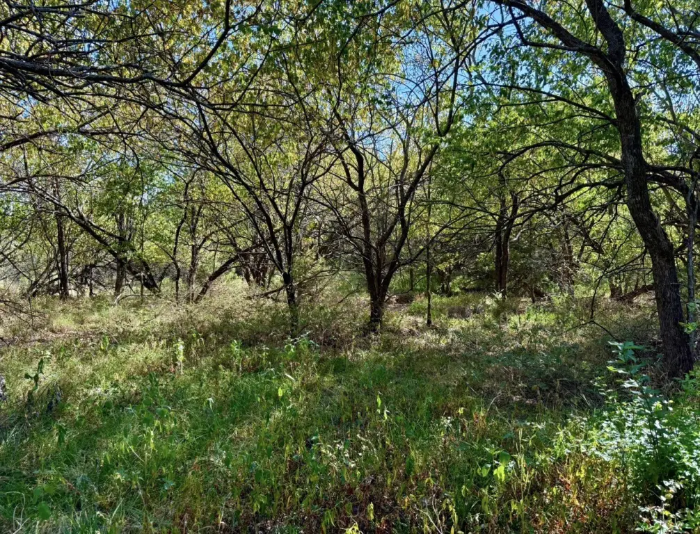 Picture 41