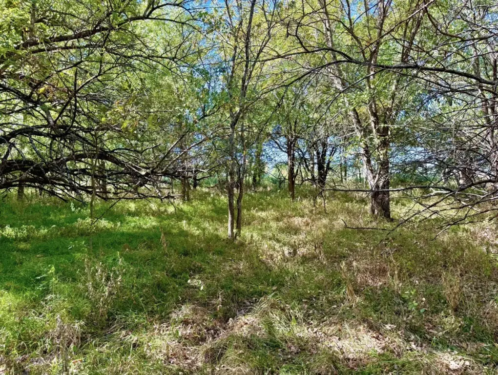 Picture 26