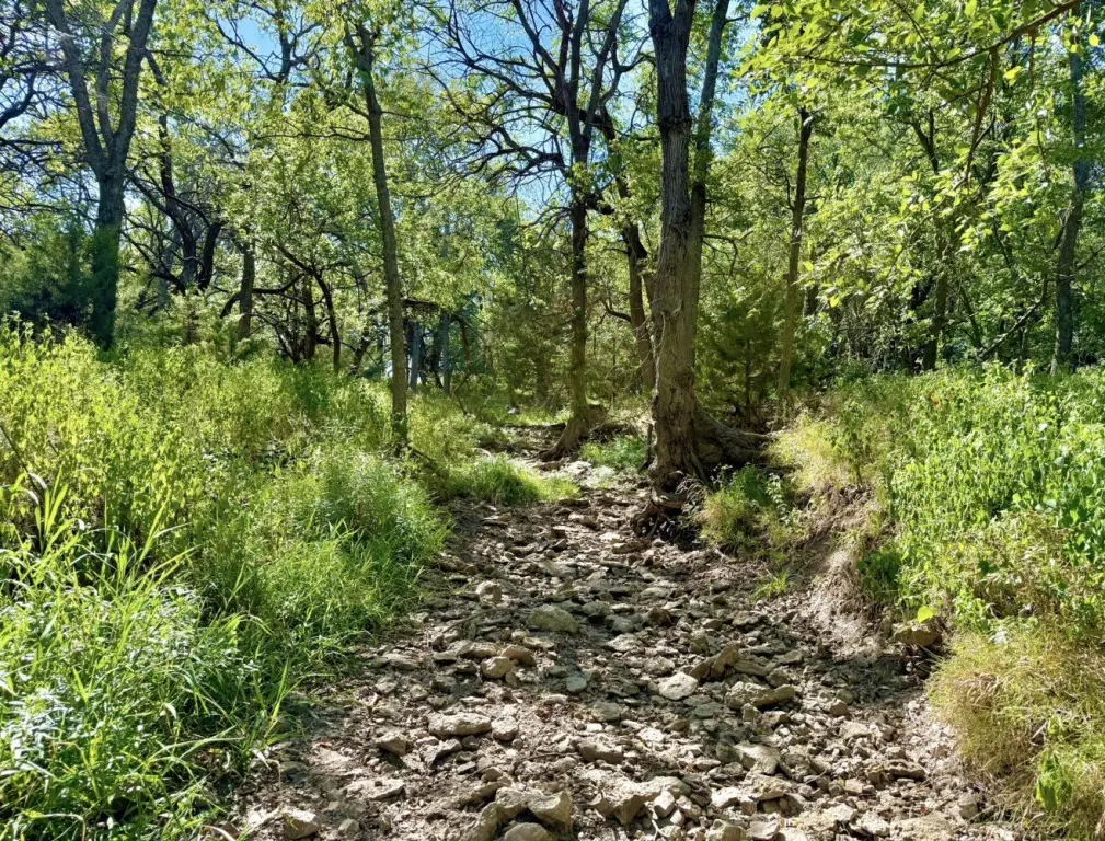 Picture 6