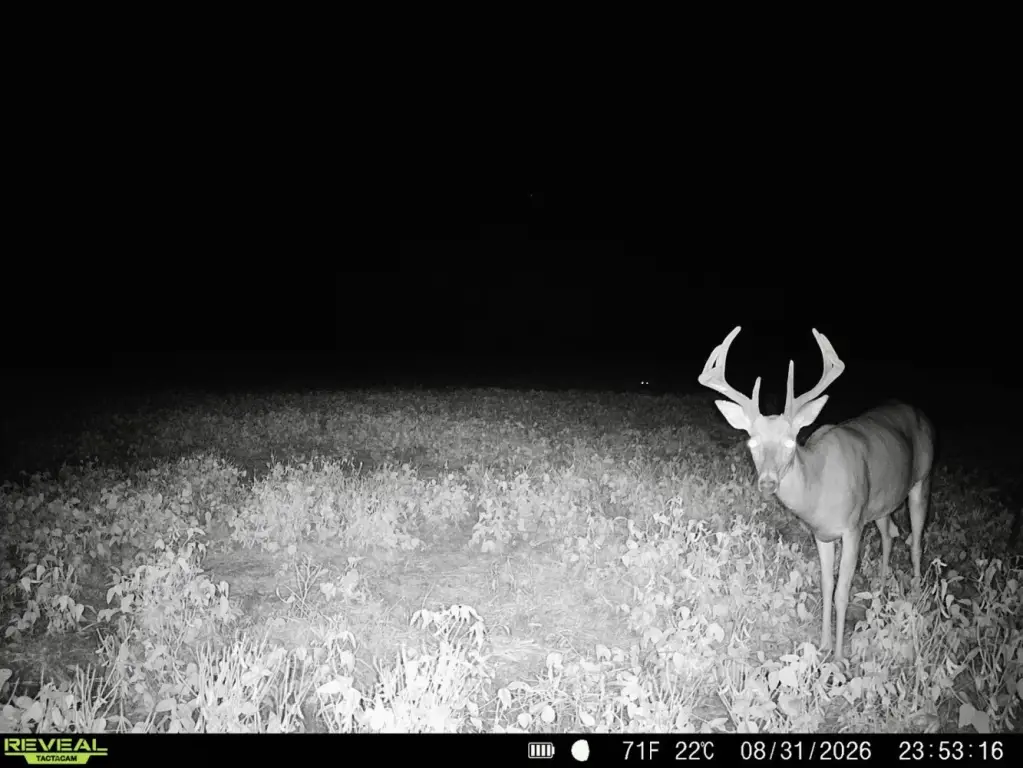 Picture 15