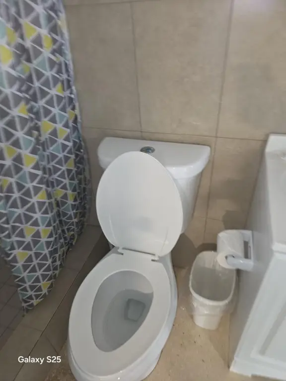 Picture 14