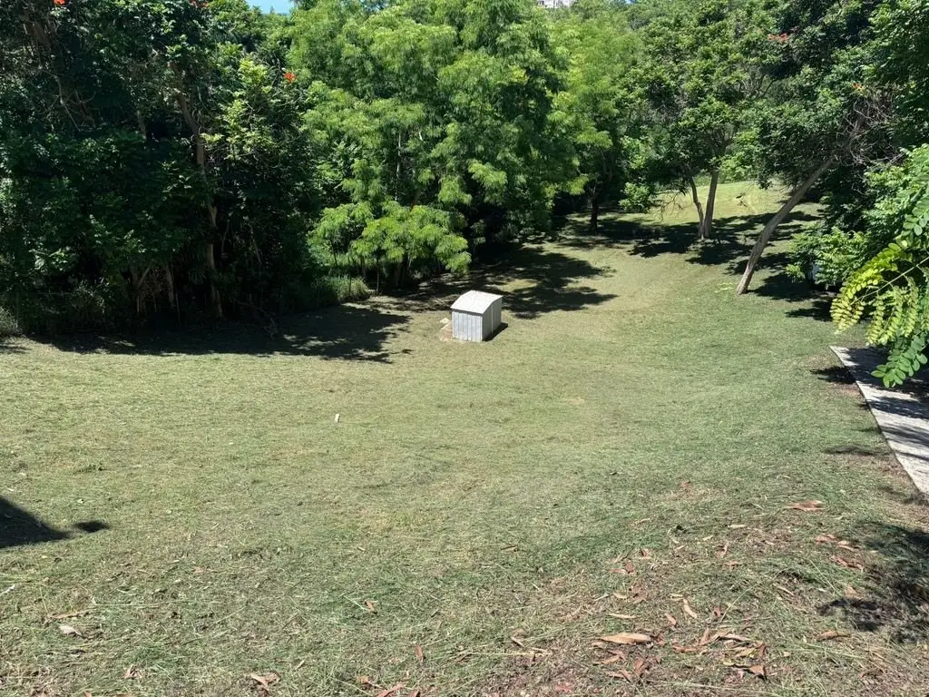 Picture 24
