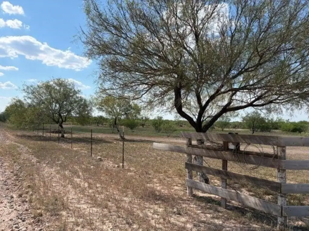 Picture 16