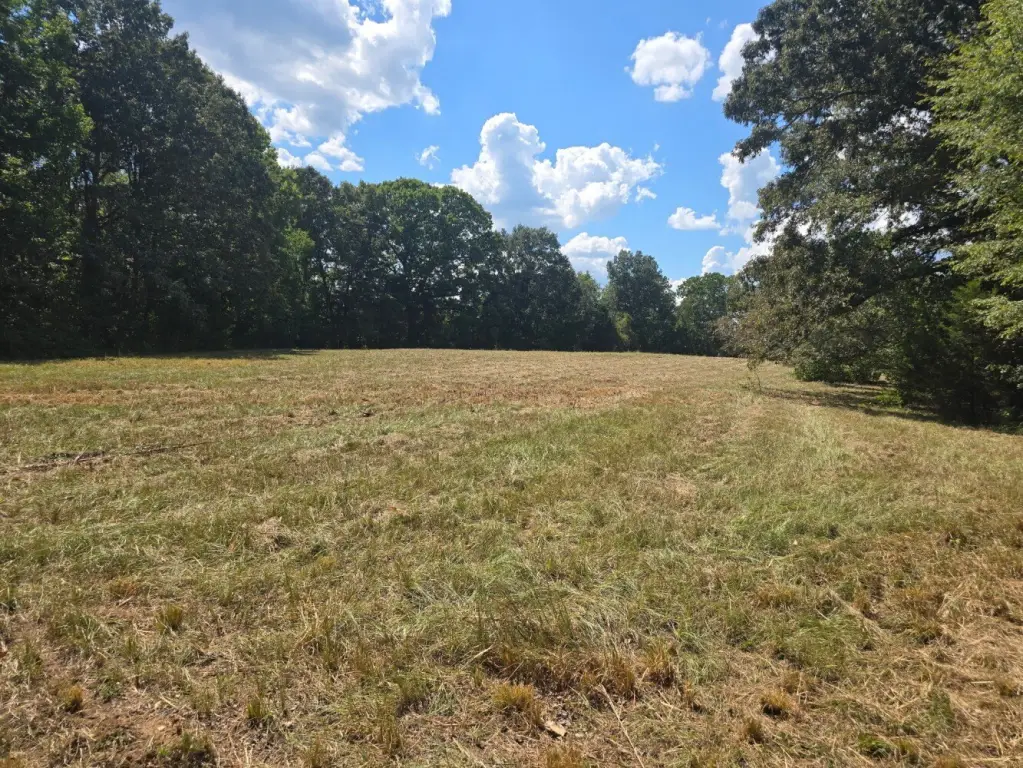 Picture 3