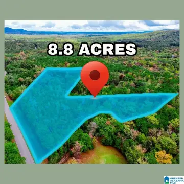 Unrestricted Acreage in Sterrett, AL