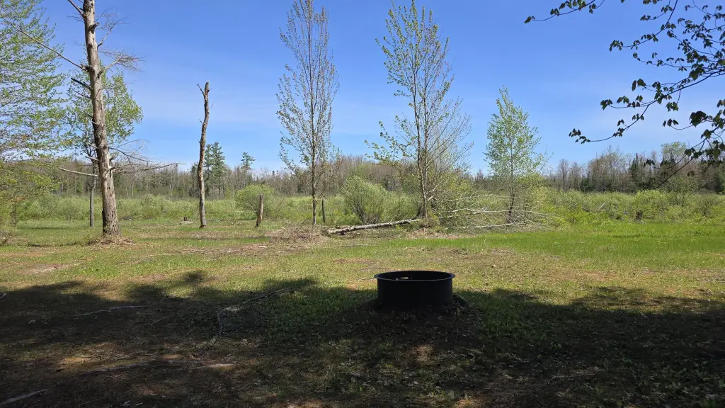 Picture 26