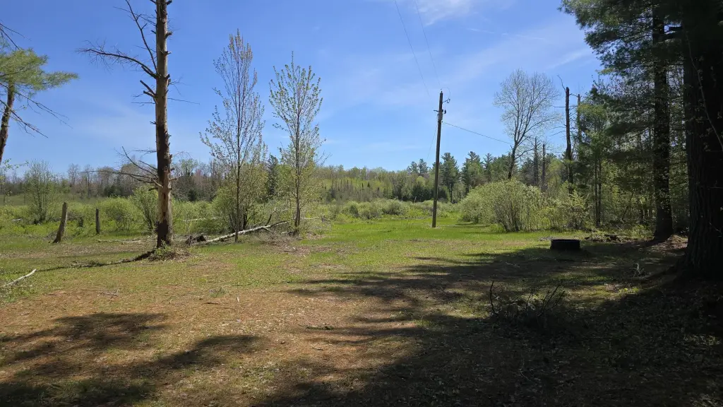Picture 28