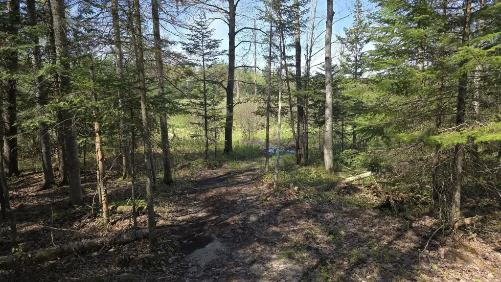 Picture 12