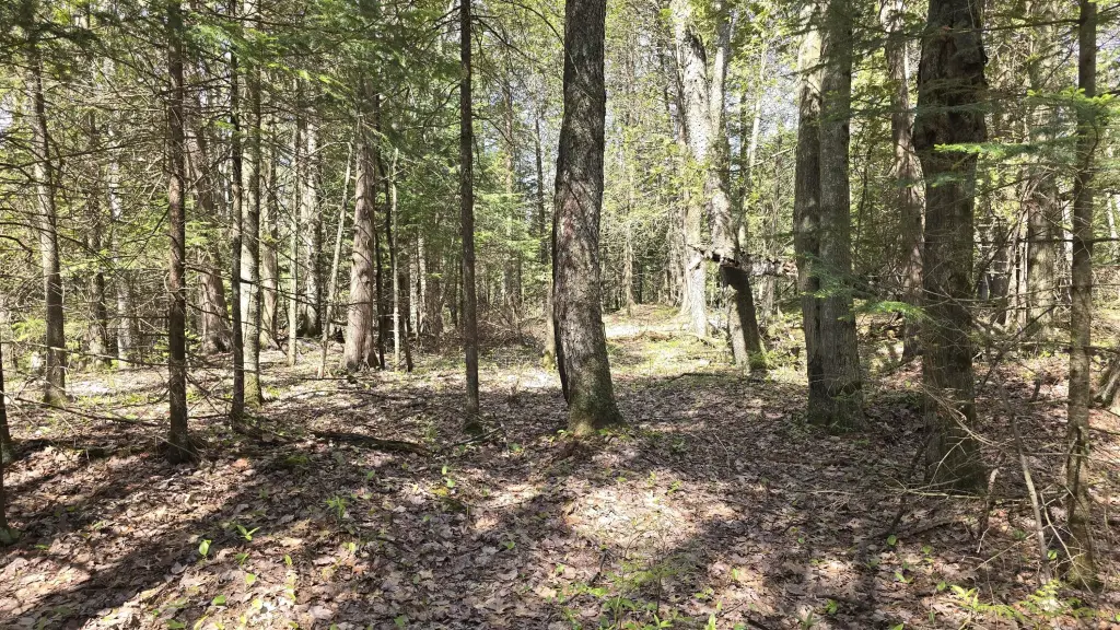 Picture 17