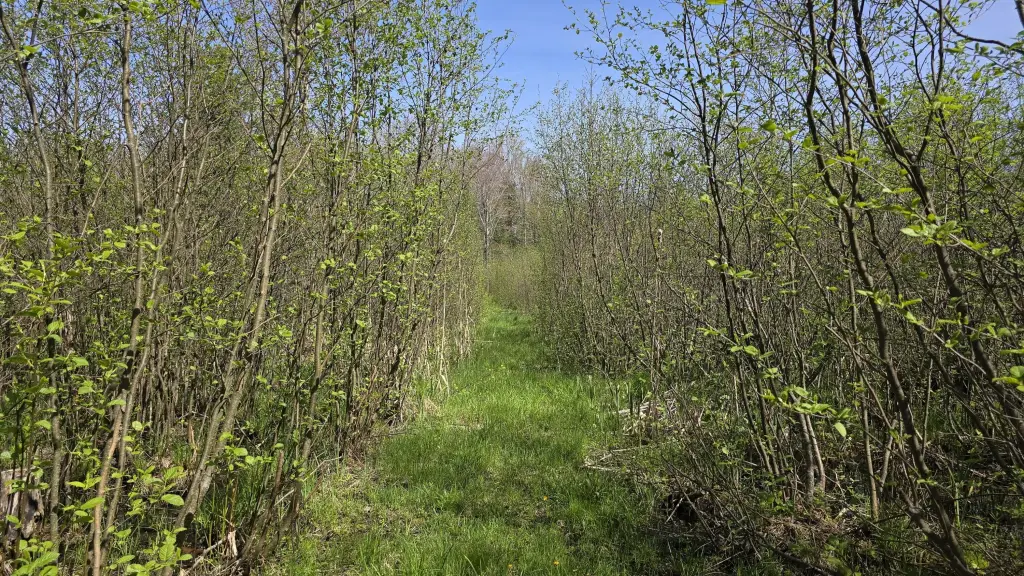 Picture 16