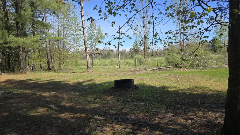 Picture 25