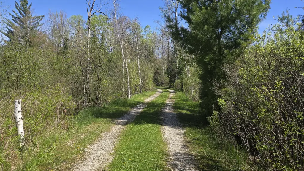 Picture 20