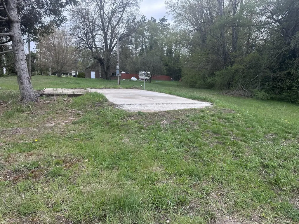 Picture 5