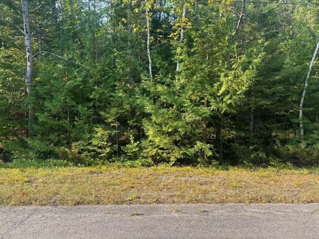 Picture 3