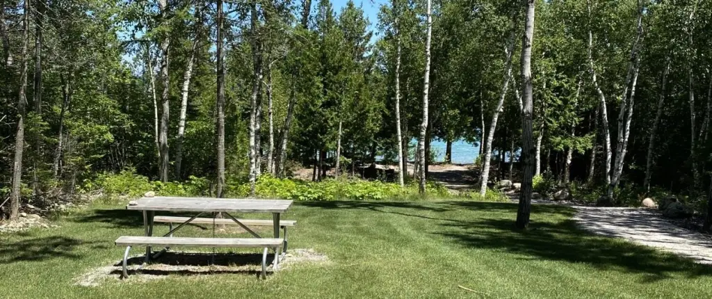 Picture 15