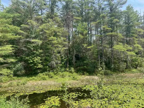 Wooded Lot Near Beech River
