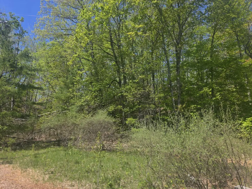 Picture 4