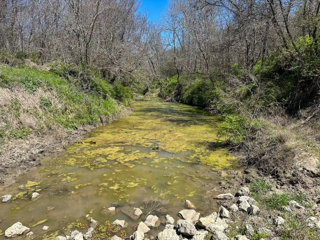Picture 6