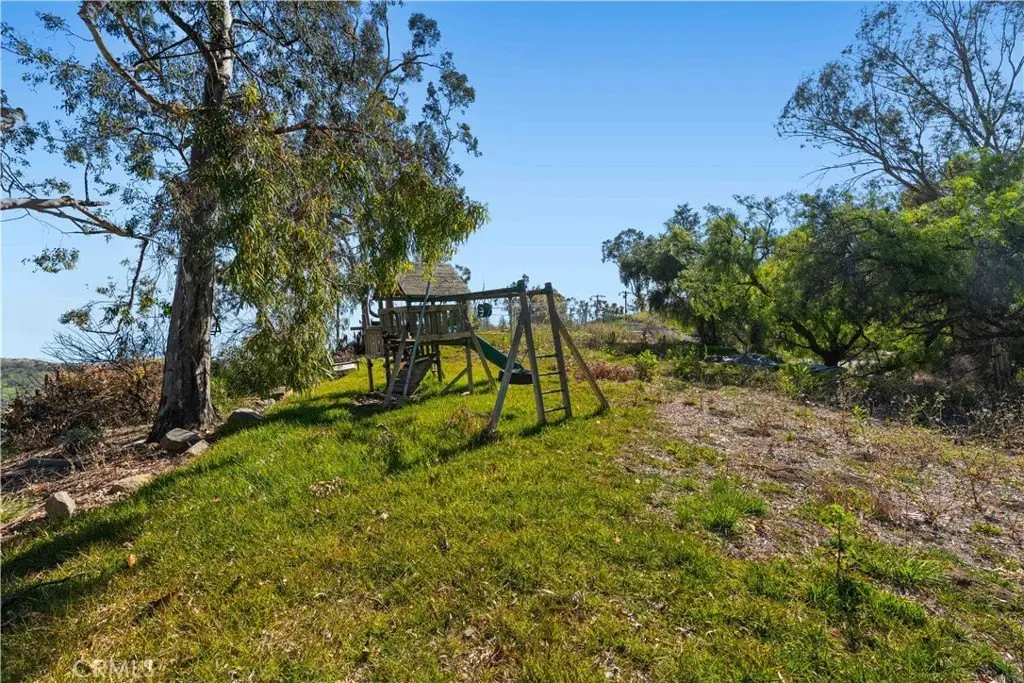 Picture 27