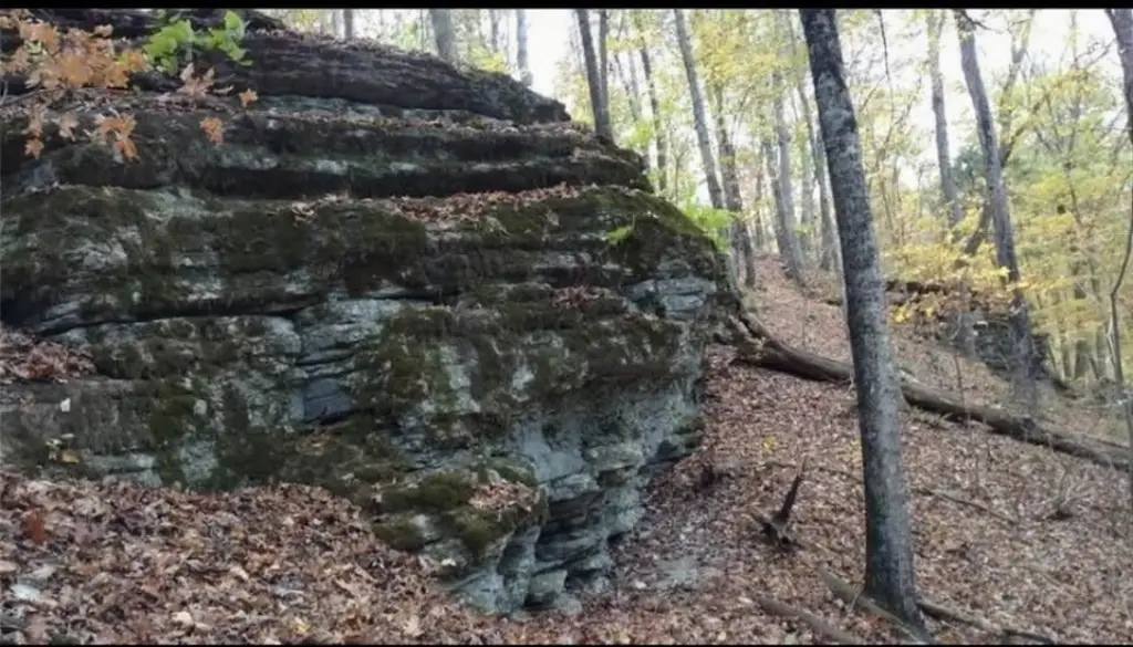 Picture 9