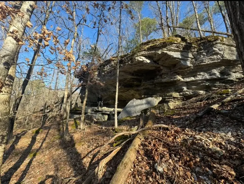 Picture 6