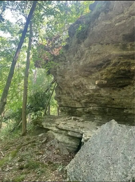 Picture 11