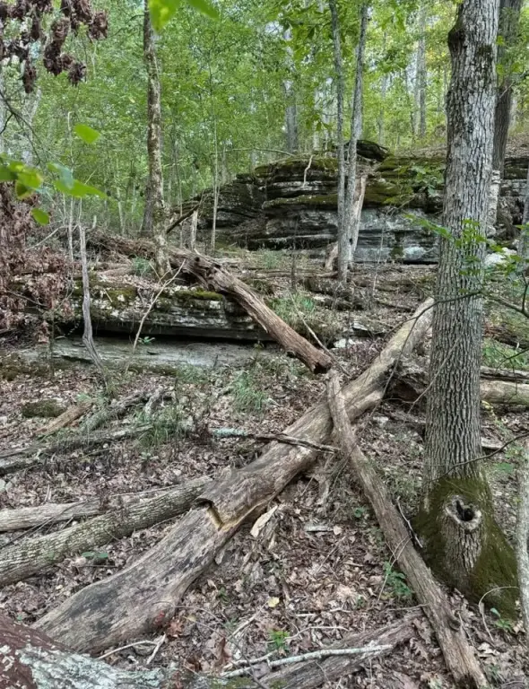 Picture 5