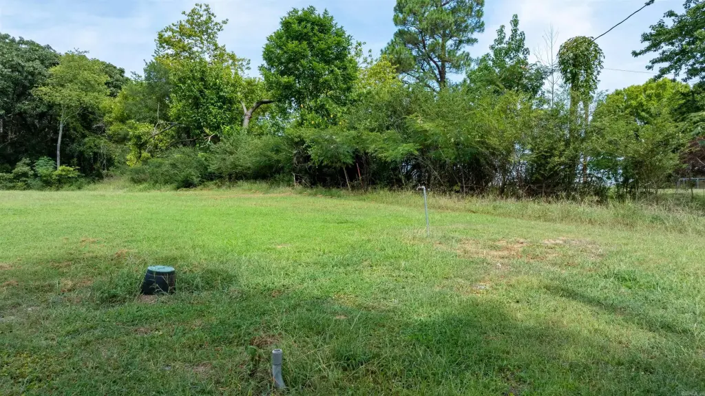 Picture 12