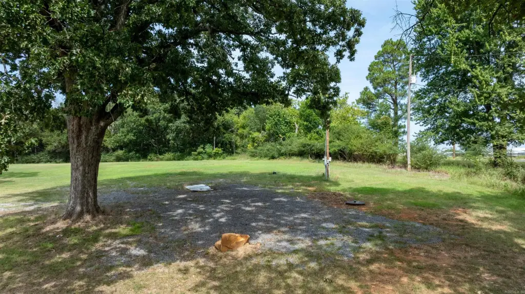 Picture 21