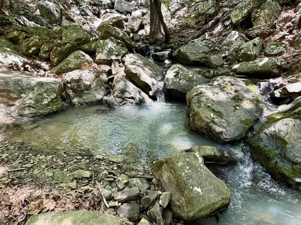 Picture 6