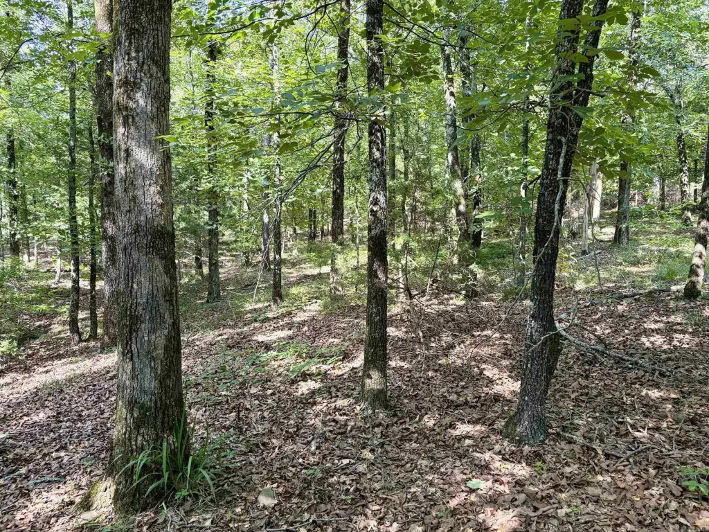 Picture 18