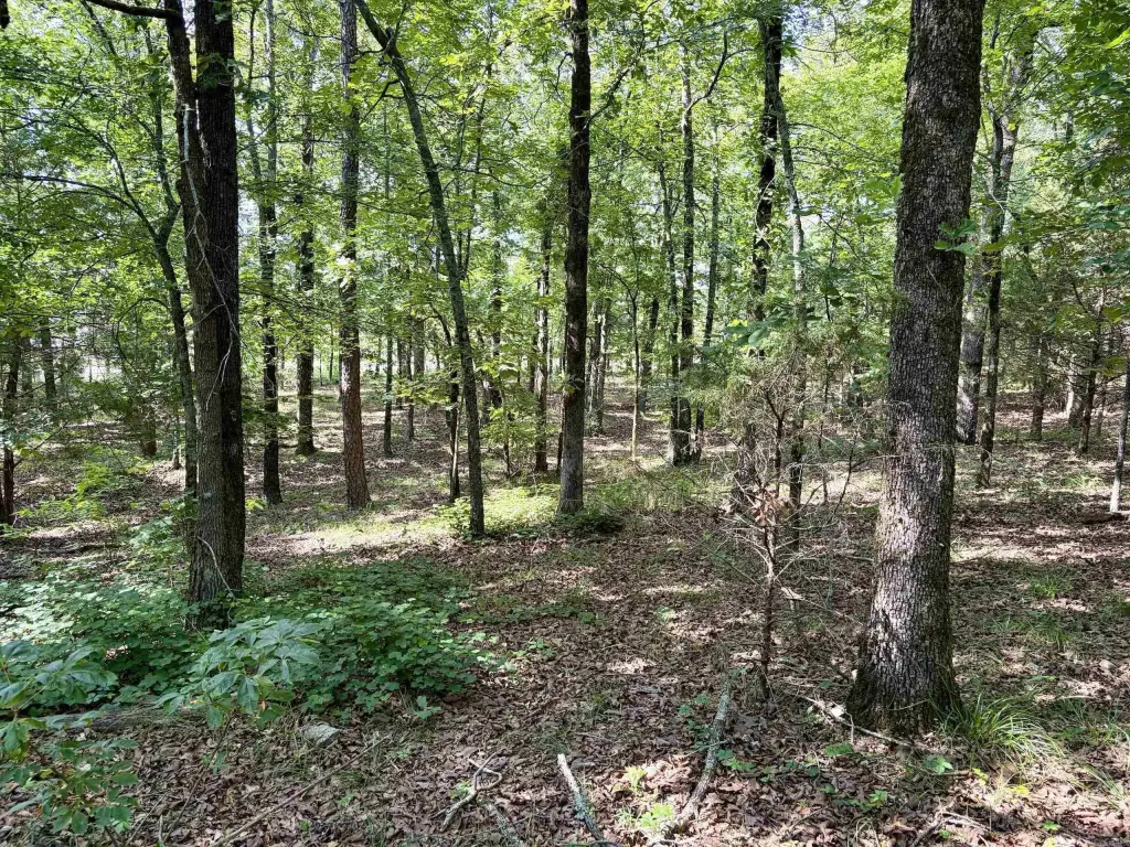 Picture 19
