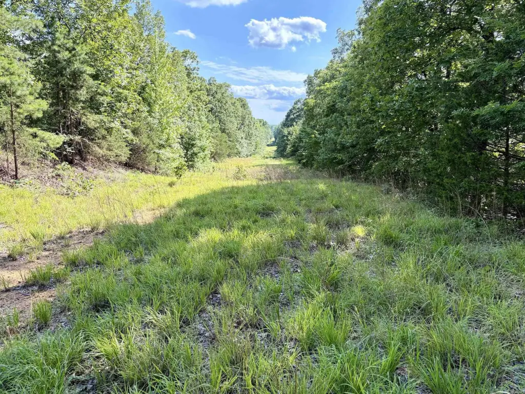 Picture 25