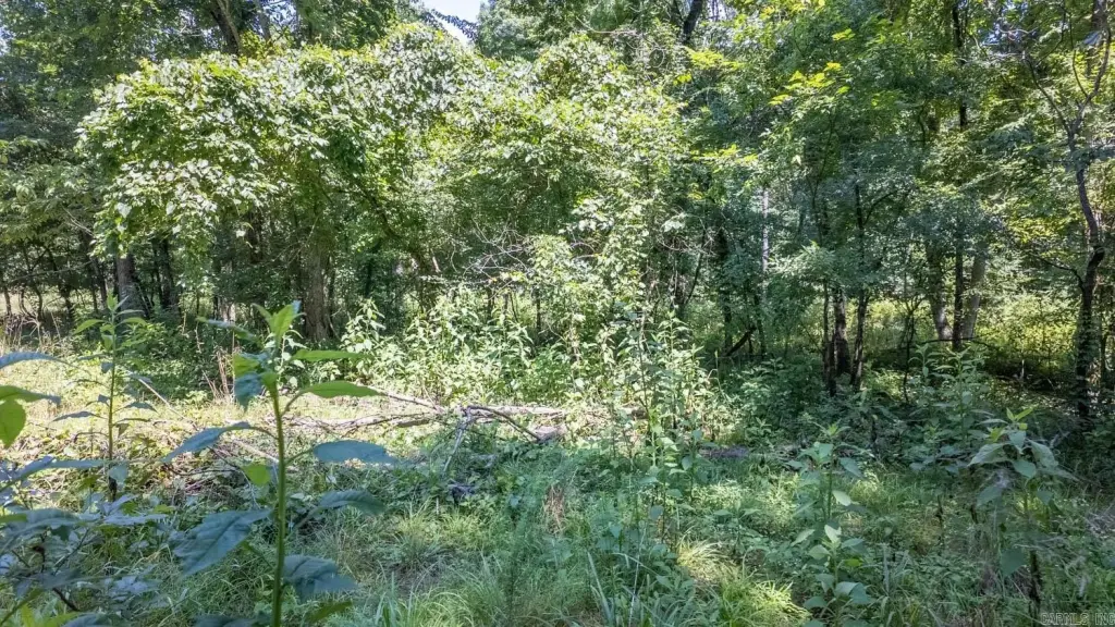 Picture 4