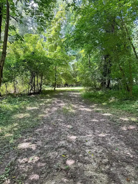 Picture 29