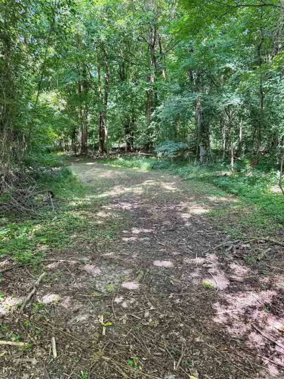 Picture 28