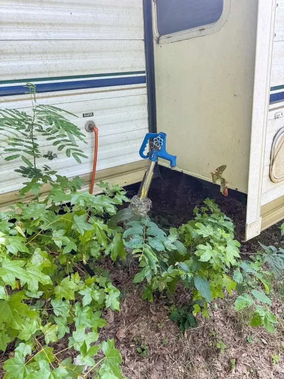 Picture 24
