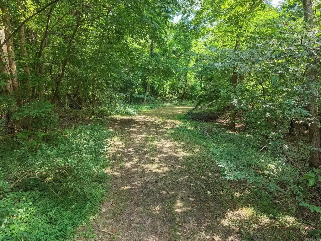 Picture 25